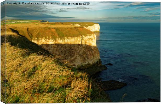 HIGH CLIFFS Canvas Print by andrew saxton