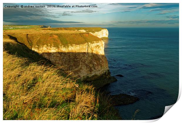 HIGH CLIFFS Print by andrew saxton