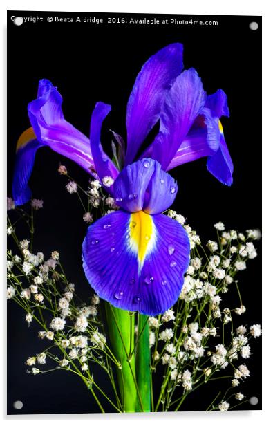 Iris flower Acrylic by Beata Aldridge