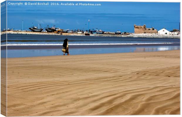 Sand Ripples in Essaouira Canvas Print by David Birchall