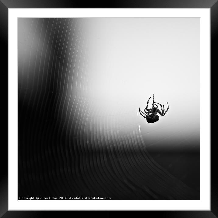 Spider And Web Framed Mounted Print by Zuzer Cofie