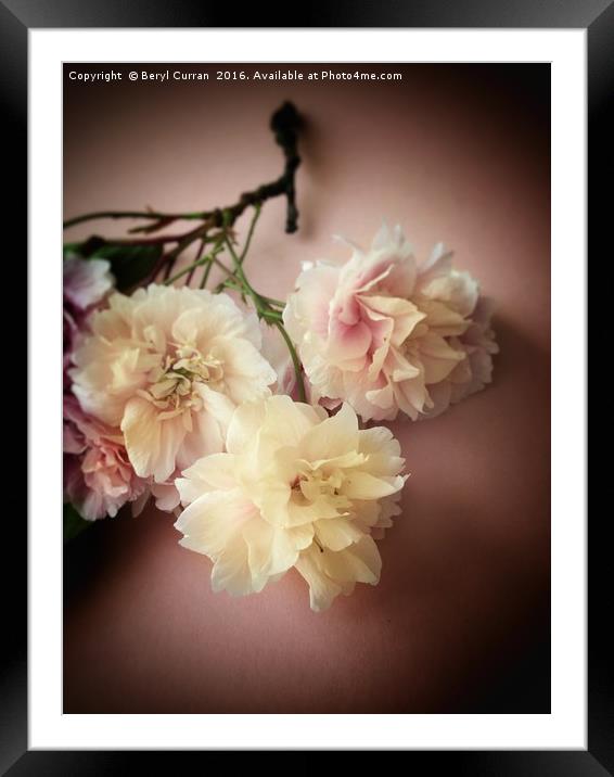 Blushing Bride Blossom Framed Mounted Print by Beryl Curran
