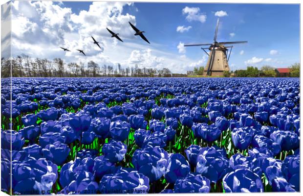 Geese flying over endless blue tulip farm Canvas Print by Ankor Light