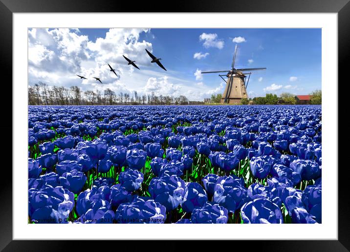 Geese flying over endless blue tulip farm Framed Mounted Print by Ankor Light