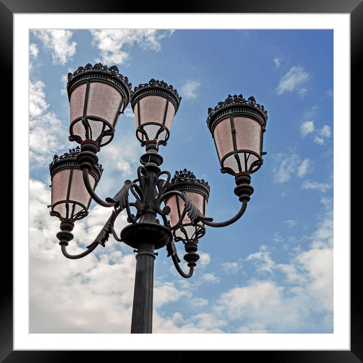 Street lamps Framed Mounted Print by Igor Krylov
