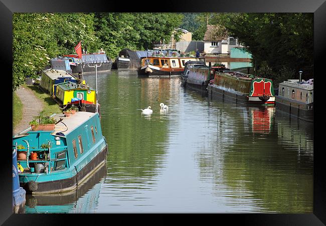 Narrowboats on the Grand Union Canal Framed Print by graham young