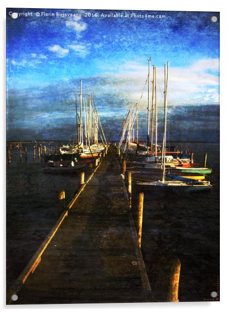Overlooking The Yacht Dock Acrylic by Florin Birjoveanu