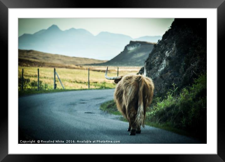Highlands Traffic Framed Mounted Print by Rosalind White