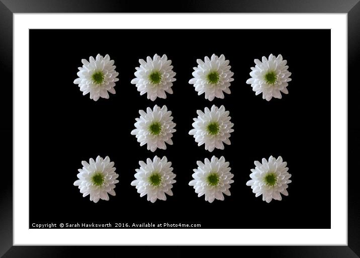 10 White Flower on Black Background Framed Mounted Print by Sarah Hawksworth