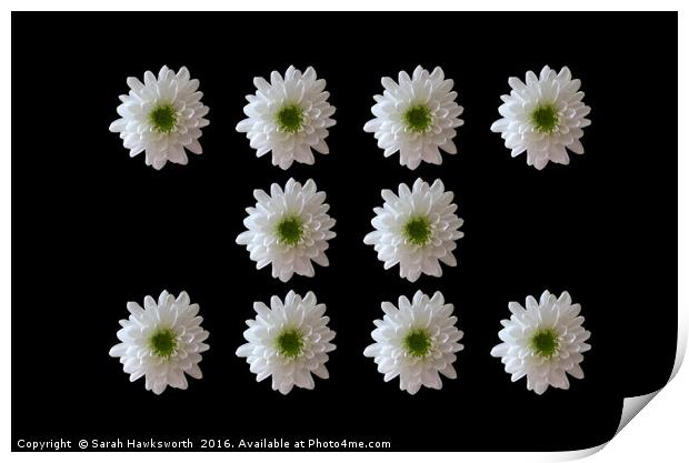 10 White Flower on Black Background Print by Sarah Hawksworth
