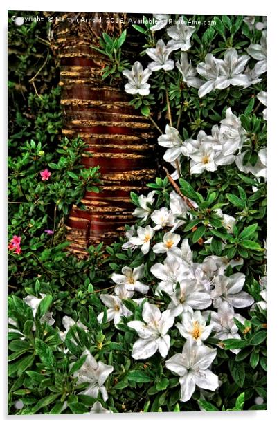 Spring Botanic Garden Flowers Acrylic by Martyn Arnold