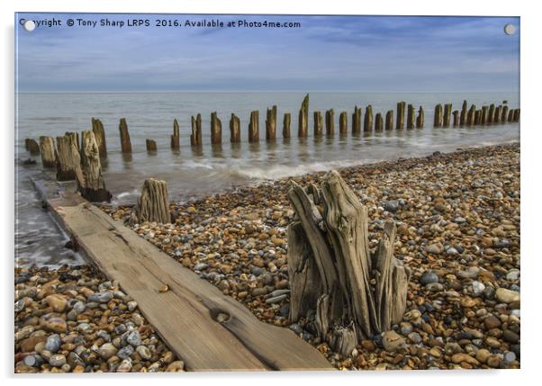 Sea Groyne Acrylic by Tony Sharp LRPS CPAGB