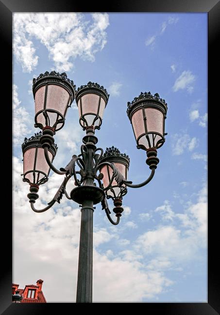 Street lamps by day Framed Print by Igor Krylov