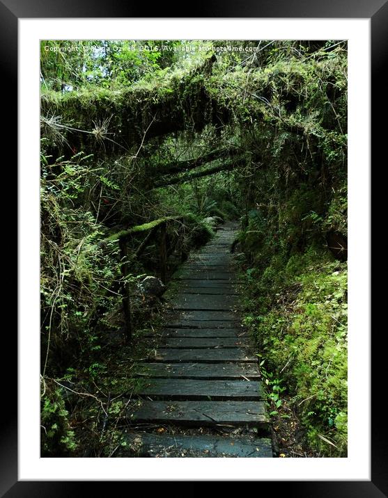 Steps to the wild side Framed Mounted Print by Marja Ozwell