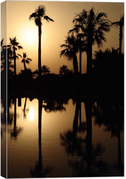 Sunset Palm Trees Canvas Print by Adrian Susman