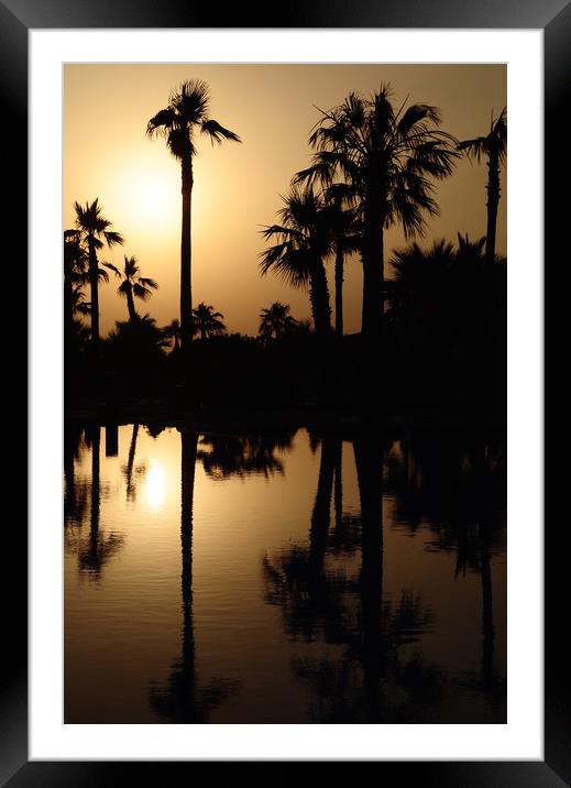 Sunset Palm Trees Framed Mounted Print by Adrian Susman