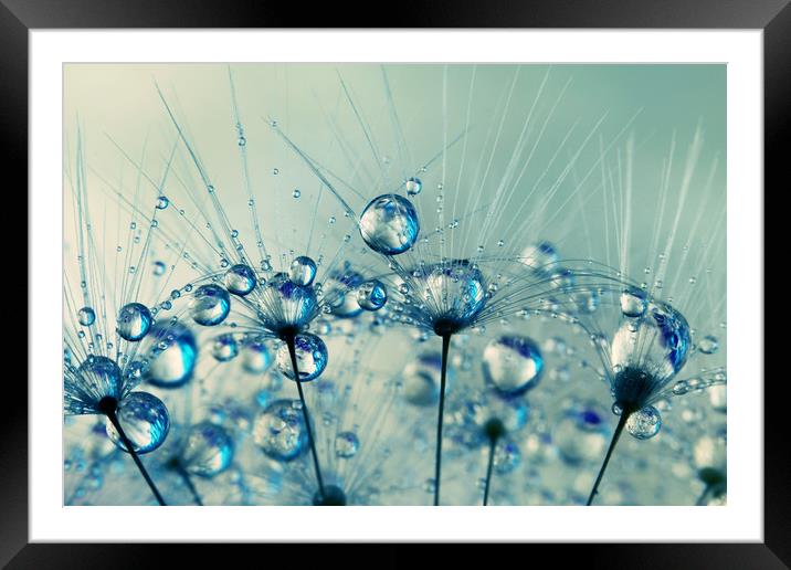 A Shower of Blue Dandy Drops Framed Mounted Print by Sharon Johnstone