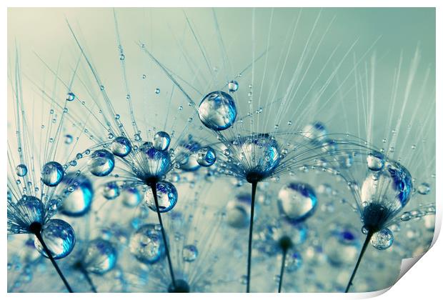 A Shower of Blue Dandy Drops Print by Sharon Johnstone