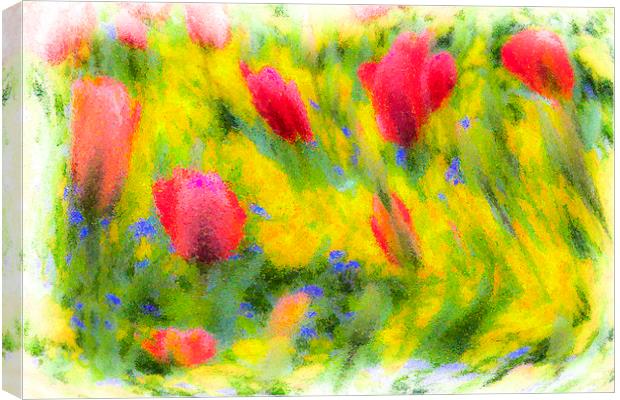 English Summer Flowers Pastel Canvas Print by David Pyatt