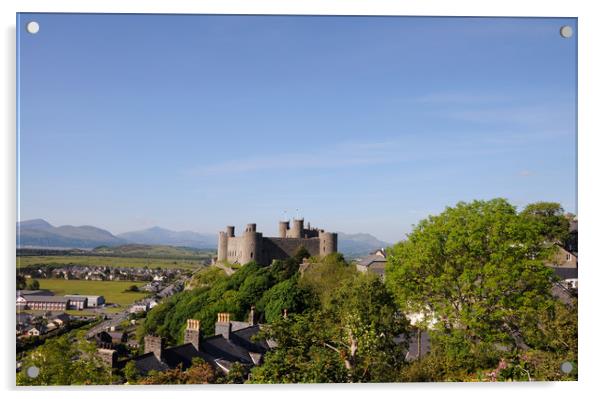 Harlech Castle Acrylic by Harvey Hudson