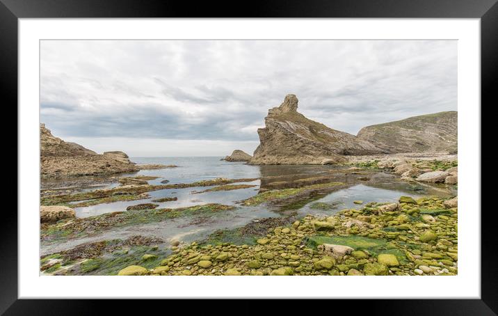 Folded beds of Purbeck and Portland limestone. Framed Mounted Print by Mark Godden