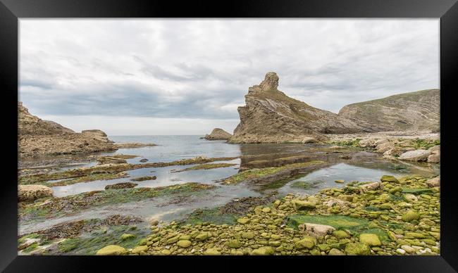 Folded beds of Purbeck and Portland limestone. Framed Print by Mark Godden