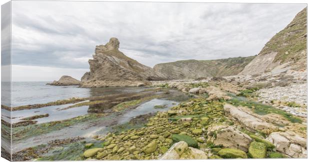 Folded beds of Purbeck and Portland limestone. Canvas Print by Mark Godden