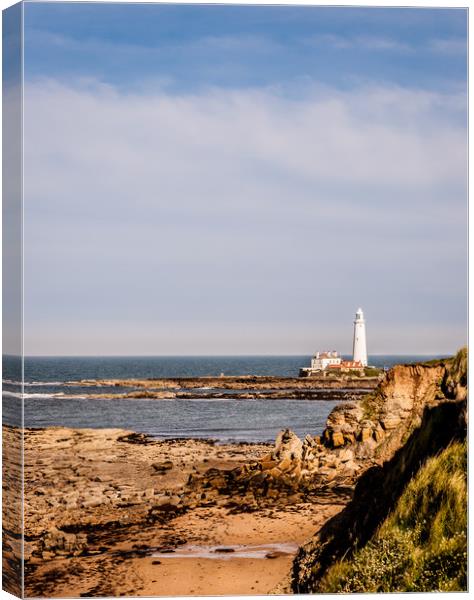 Portrait of The Bay Canvas Print by Naylor's Photography