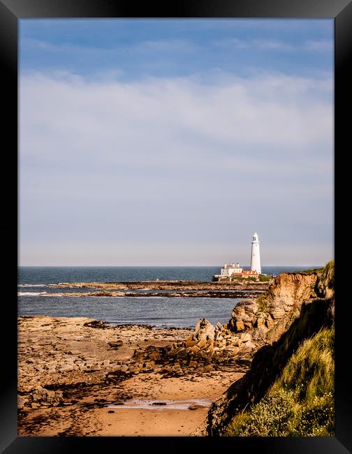 Portrait of The Bay Framed Print by Naylor's Photography