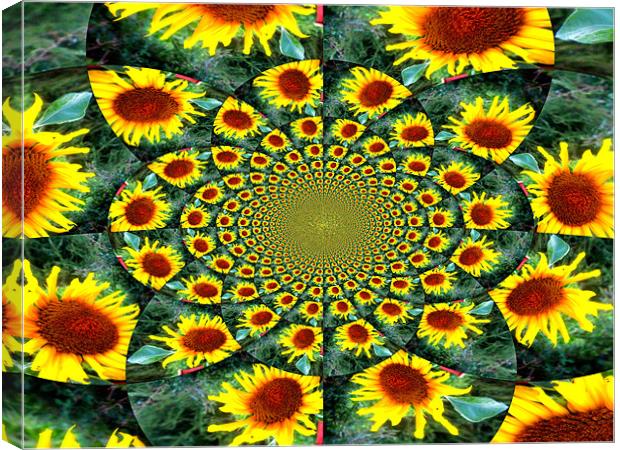 Sunflower Canvas Print by Alexia Miles