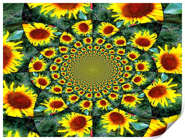 Sunflower Print by Alexia Miles
