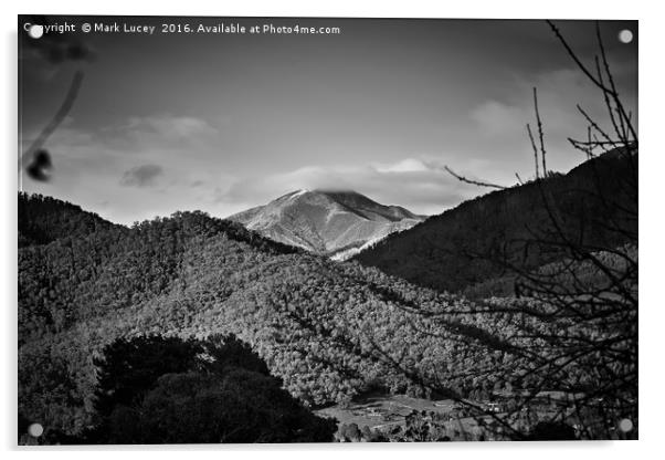 Mt Feathertop Acrylic by Mark Lucey