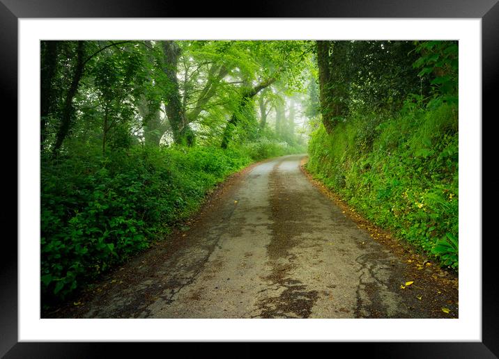 Misty road Framed Mounted Print by Michael Brookes