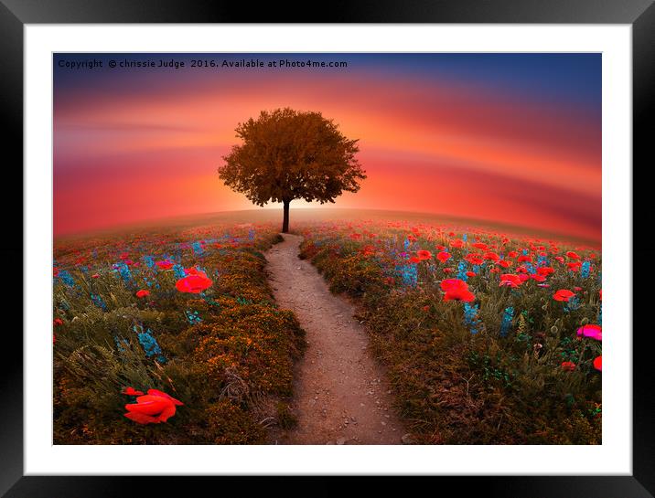 The little Red Tree on the hill  Framed Mounted Print by Heaven's Gift xxx68