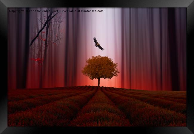 The Red forest Framed Print by Heaven's Gift xxx68