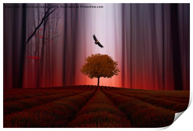The Red forest Print by Heaven's Gift xxx68