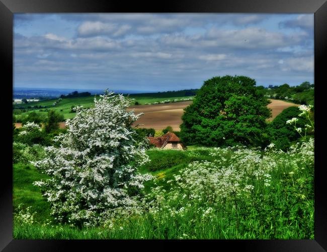 spring view Framed Print by carl blake