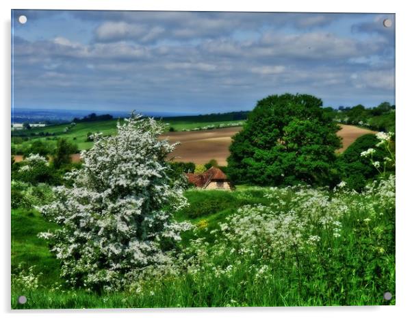 spring view Acrylic by carl blake