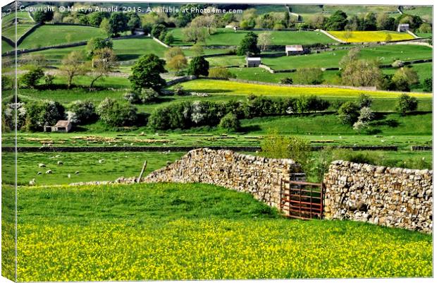 Yorkshire Dales Countryside Canvas Print by Martyn Arnold