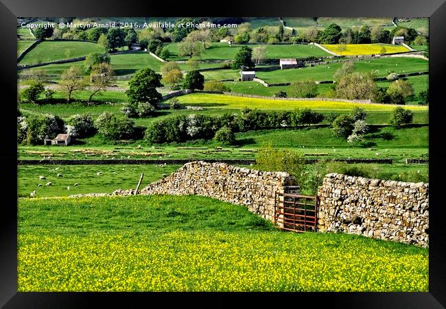Yorkshire Dales Countryside Framed Print by Martyn Arnold