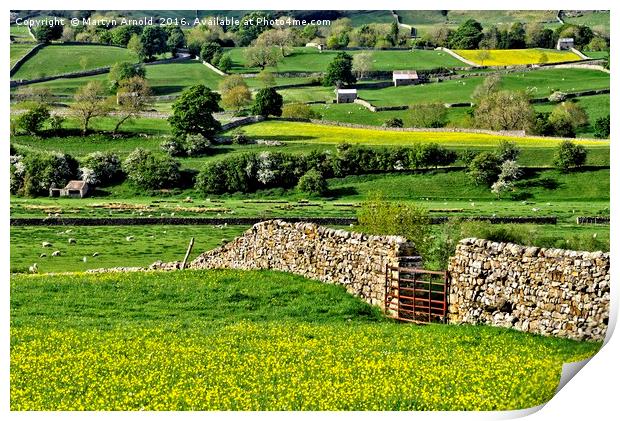 Yorkshire Dales Countryside Print by Martyn Arnold