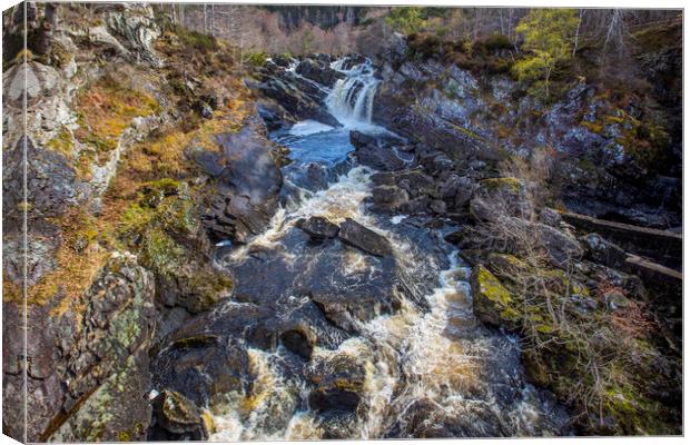 Rogie Falls Canvas Print by David Hare