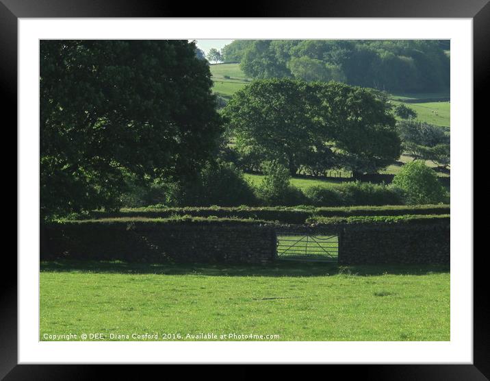The way through? a post box gate Framed Mounted Print by DEE- Diana Cosford