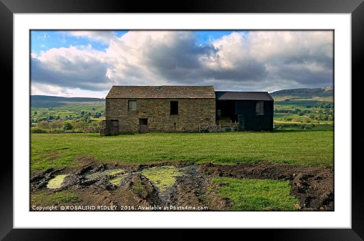 "FARM BUILDING IN WENSLEYDALE " Framed Mounted Print by ROS RIDLEY