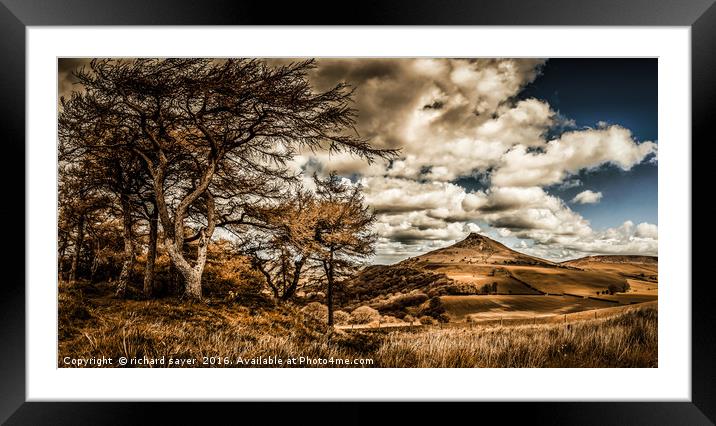 Wind Swept Framed Mounted Print by richard sayer