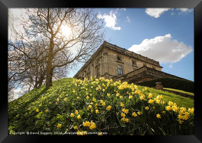 Nottingham Castle in the Sun Framed Print by David Siggers