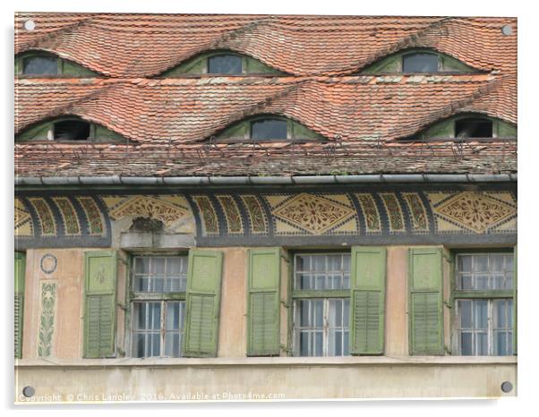 Roof Eyes in Sighisoara, Romania Acrylic by Chris Langley