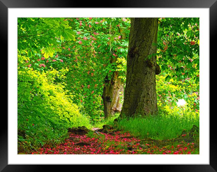 Woodland trail Framed Mounted Print by Victor Burnside
