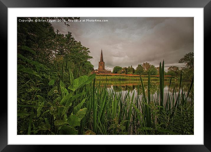 View from the undergrowth Framed Mounted Print by Brian Fagan