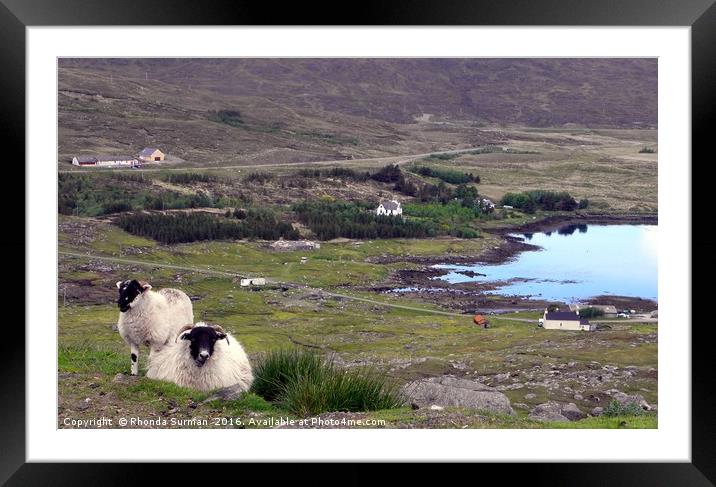 Harris Sheep at Loch Seaforth Framed Mounted Print by Rhonda Surman